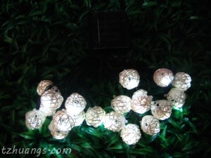 3cm 20led