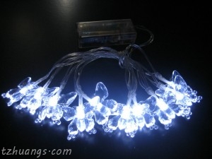 LED Battery Decoration Light, LED Battery Fairy Light, LED Battery wedding light, LED Battery christmas light,013-016