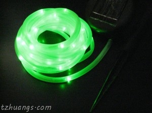 100LED Solar LED Rope Light, Green
