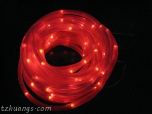 10M 100LED solar rope light, Garden Light, Red
