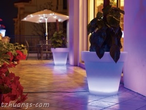 Solar LED Flowerpot Light, Garden Light